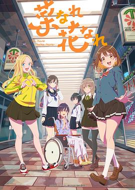 怎么查看优化网站